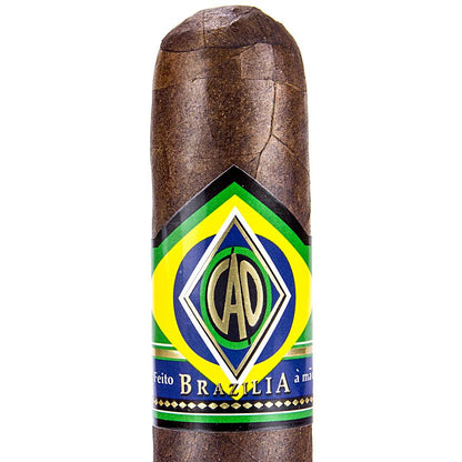 CAO Brazilia Corcovado