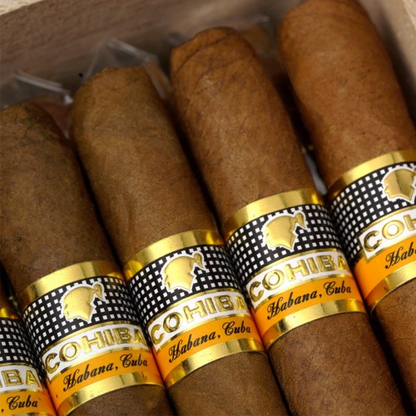 Cohiba Short