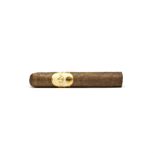 Oliva Serie G Double Robusto