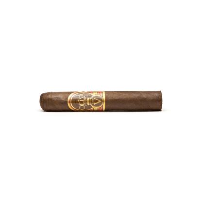 Oliva Serie V Double Robusto