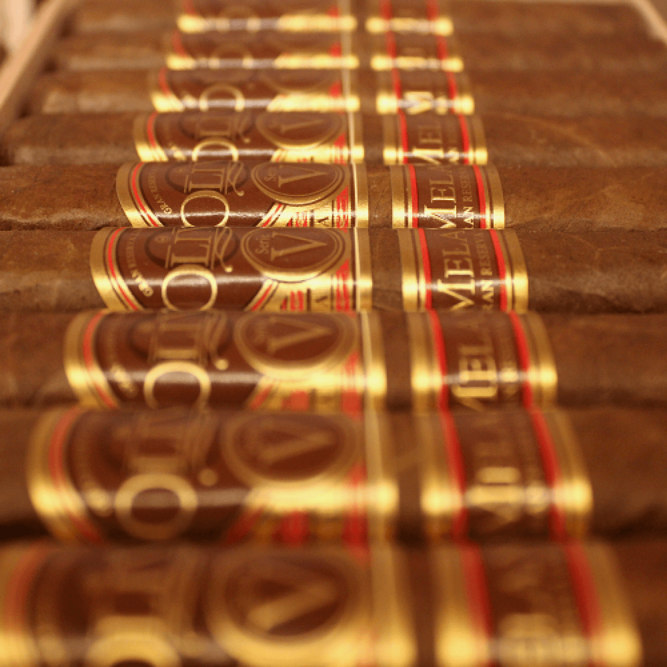 Oliva Serie V Double Toro