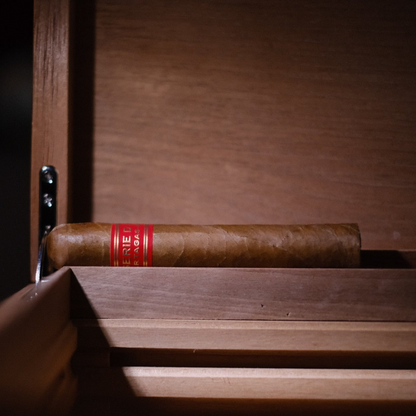 Partagas Serie D N4