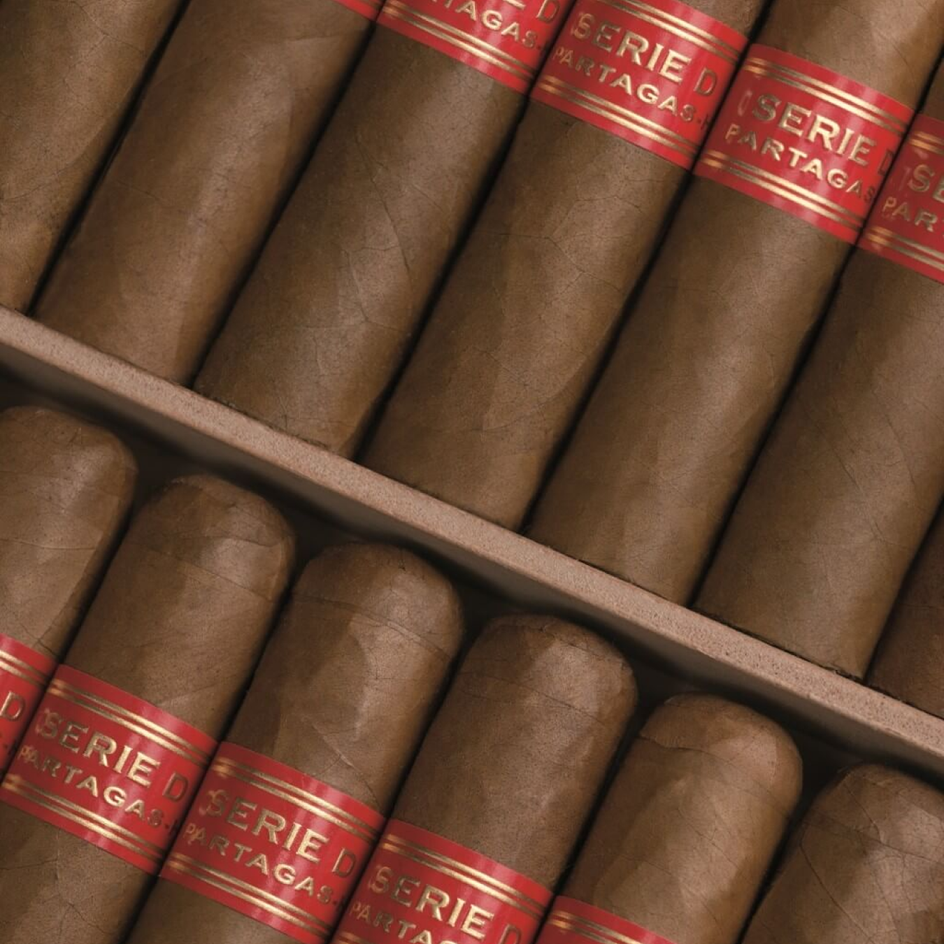 Partagas Serie D N6