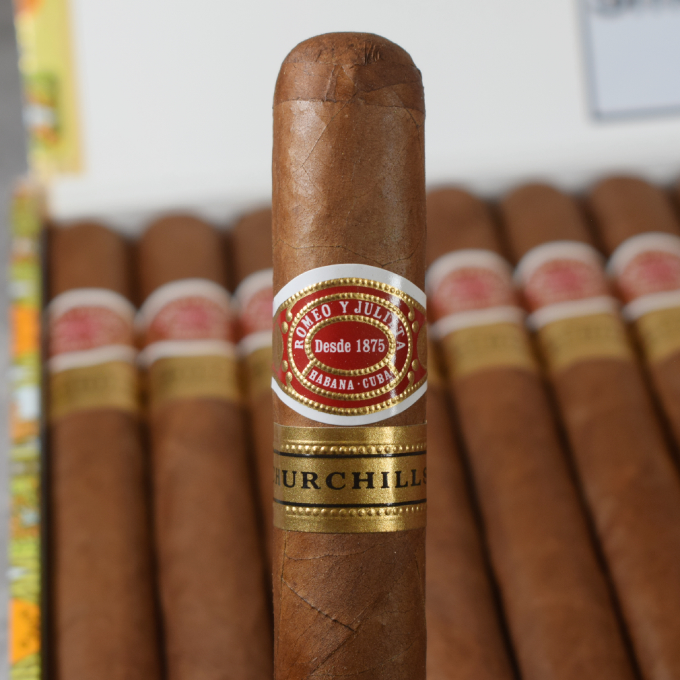 Romeo Y Julieta Churchills