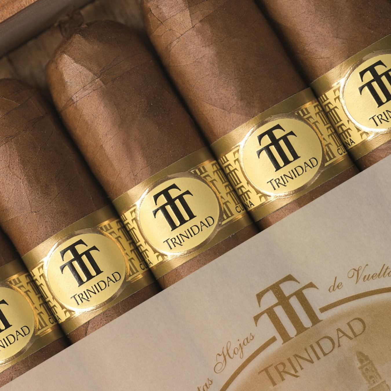 Trinidad Vigia